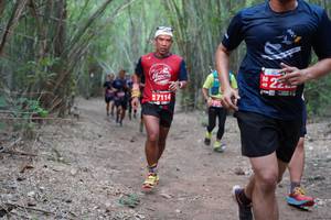 BIB: 7114, 
                            <button type="button" onclick="openModal(4124328)" class="btn btn-primary btn-sm float-right btn-popup" data-toggle="modal" data-target=".modal-high-quality">
                        <i class="fas fa-shopping-cart"></i> Add to Cart
                    </button>
                                            <button type="button" onclick="isThisMe(4124328, true)" class="btn btn-success btn-sm float-right btn-popup btn-isme hidden" data-toggle="tooltip" data-placement="bottom" title="นี่คือรูปของคุณใช่ไหม คลิกที่นี่เพื่อเอาเข้าอัลบั้ม">
                        <i class="fas fa-plus"></i> Add to album
                    </button>
                    <button type="button" onclick="isThisMe(4124328, false)" class="btn btn-warning btn-sm float-right btn-popup btn-isnotme hidden">
                        <i class="fas fa-ban"></i> Remove from album
                    </button>